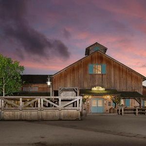 Disney Davy Crocette Ranch